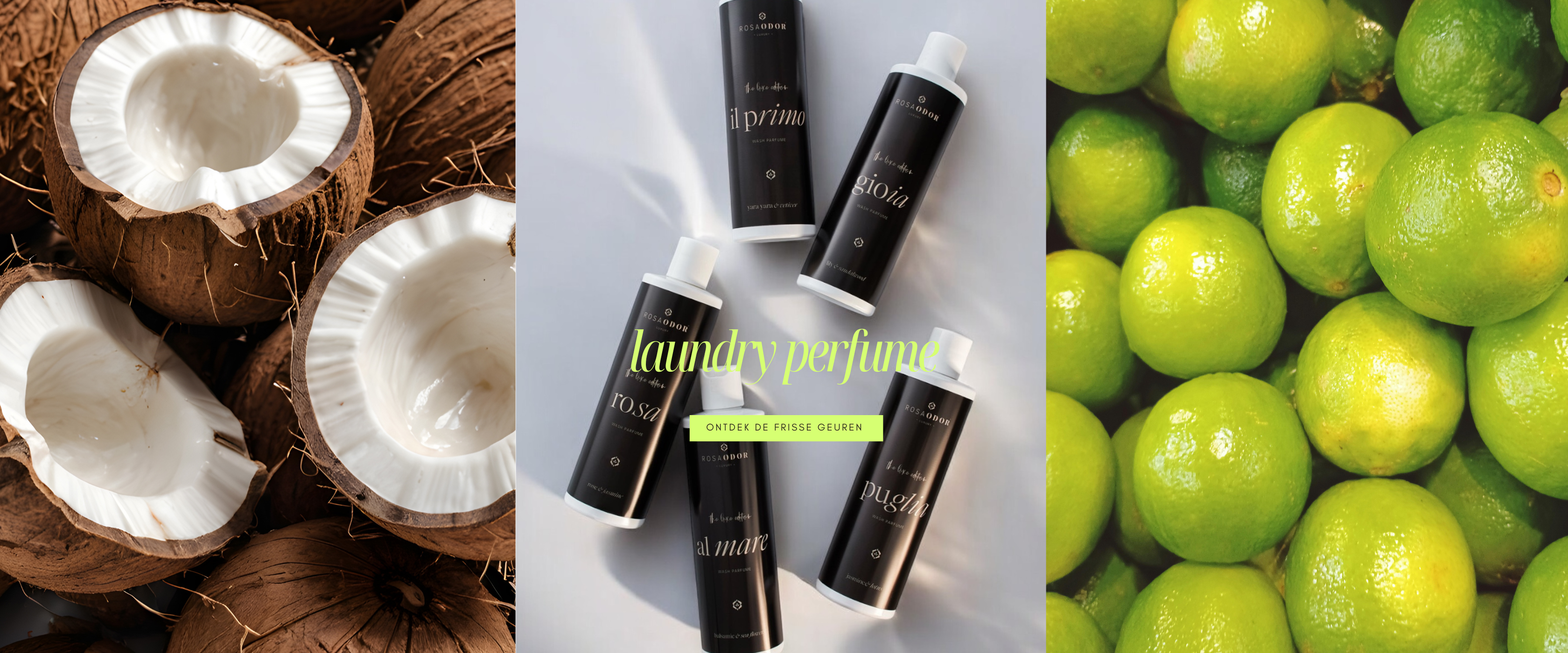 header - rosaodor (1920 x 800 px)(14)